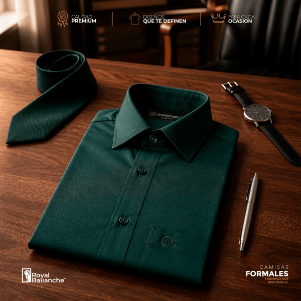 Camisas de Vestir Básicas